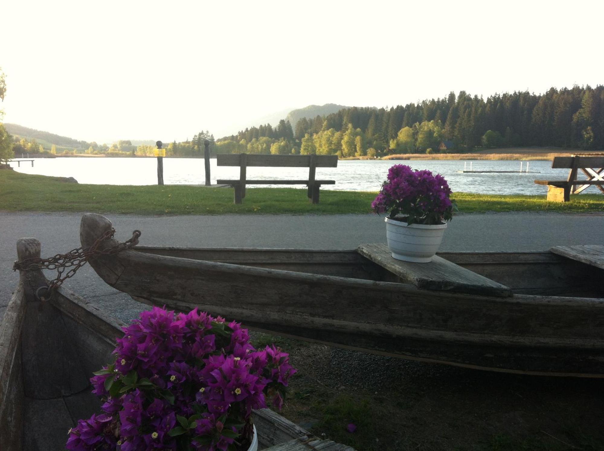 Jera Am Furtnerteich Hotel-Ristorante&Relax Mariahof Luaran gambar